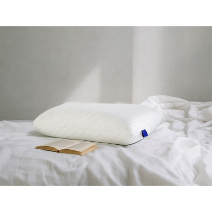 Visco-Kissen druckentlastend Schlafzimmer Schweiz – Ahié