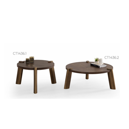 CT1436 Couchtisch