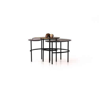 Couchtisch-Set Echtholzfurnier mit Metallbeinen – CT2405 – Ahié