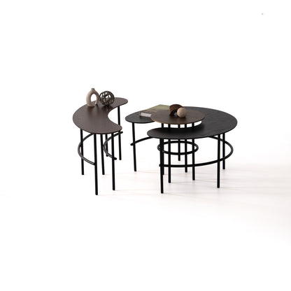 Couchtisch-Set Echtholzfurnier mit Metallbeinen – CT2405 – Ahié