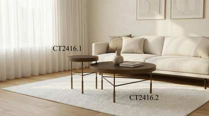 Couchtisch-Set Furnierplatte mit Metallbeinen – CT2416 – Ahié