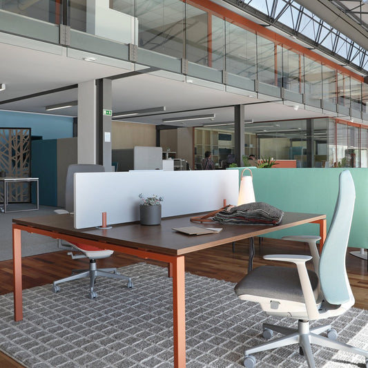 F2206.1 Doppeltisch mit Trennwand